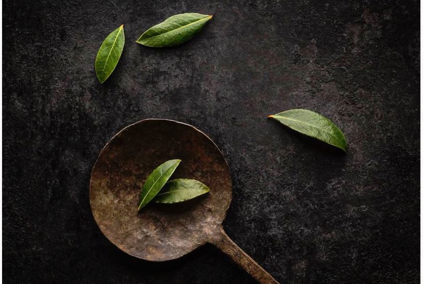 Still Life Photography - Deborah Brown. Top-down perspective of rusty old pan with five green leaves placed in shot on a rusted dark background.
