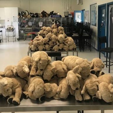 Many animal plushies placed on metal tables